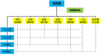 某投资开发公司组织架构优化与人力资源开发咨询项目纪实